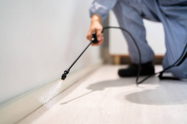 Licensed Cockroach Control service in March ARB, CA - Nex Pest Control