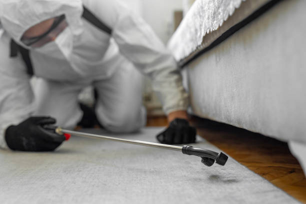 Professional Cockroach Control technician working in March ARB, CA