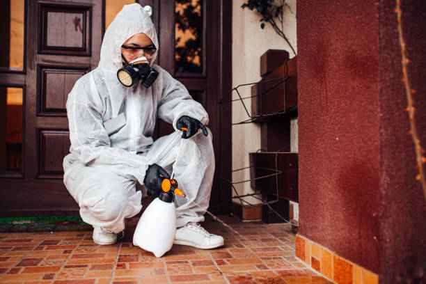 Reliable Cockroach Control contractor in March ARB, CA by Nex Pest Control