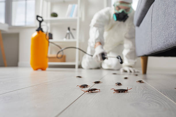 Affordable Cockroach Control solutions in March ARB, CA
