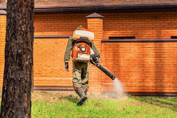 Top rated local Cockroach Control specialists in March ARB, CA